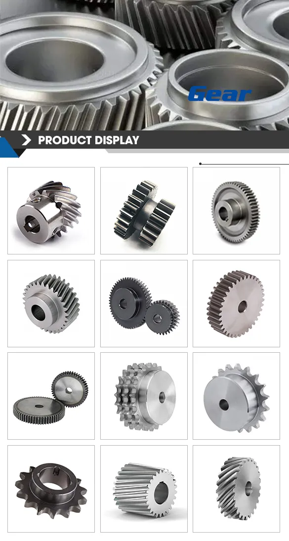Spur Gear