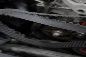 Timing Belt